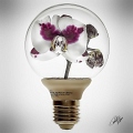 Orkidé i glödlampa